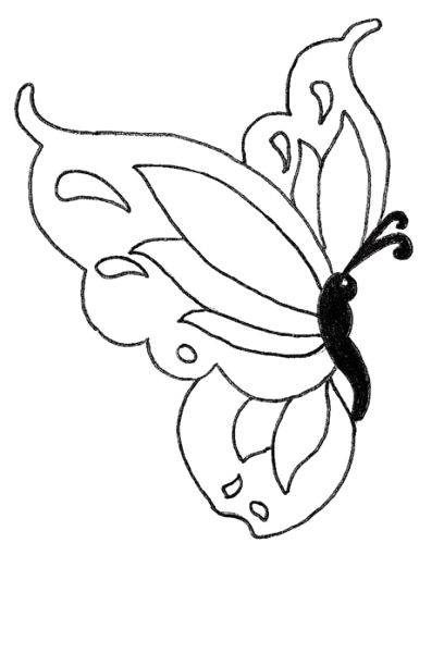 dessin déploiement papillon